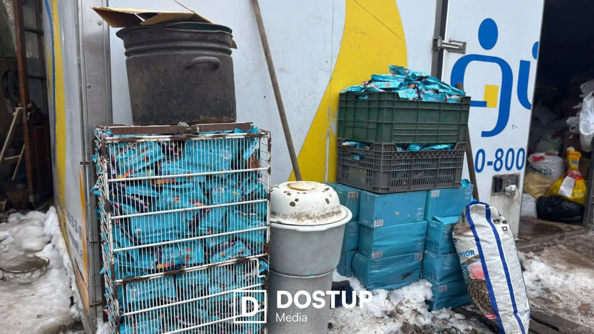 Потрібна допомога людей на толоках: ситуація в притулку “Бім” у Кропивницькому після затоплення