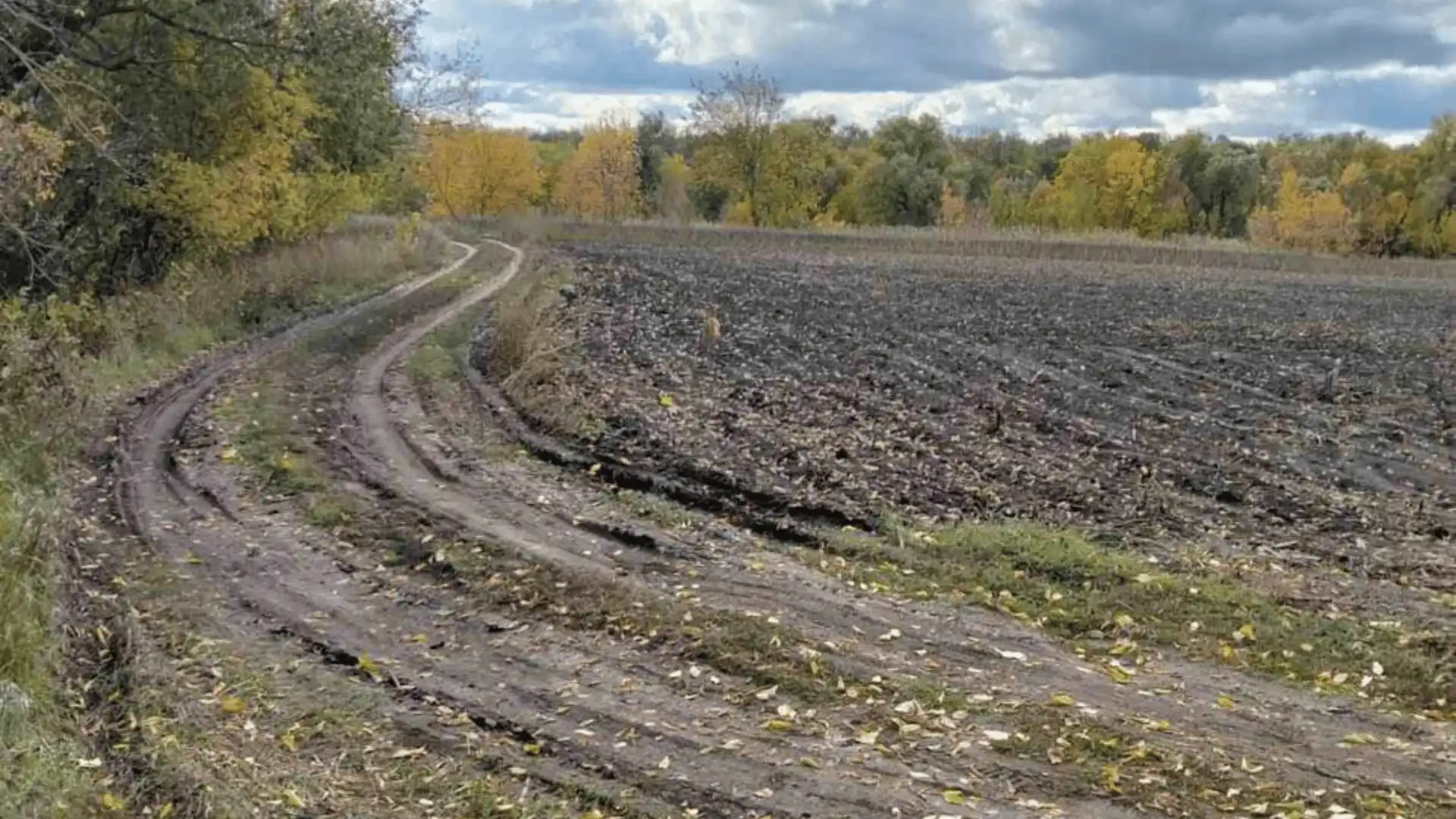 Розорали землю біля Південного Бугу в межах Кіровоградської області