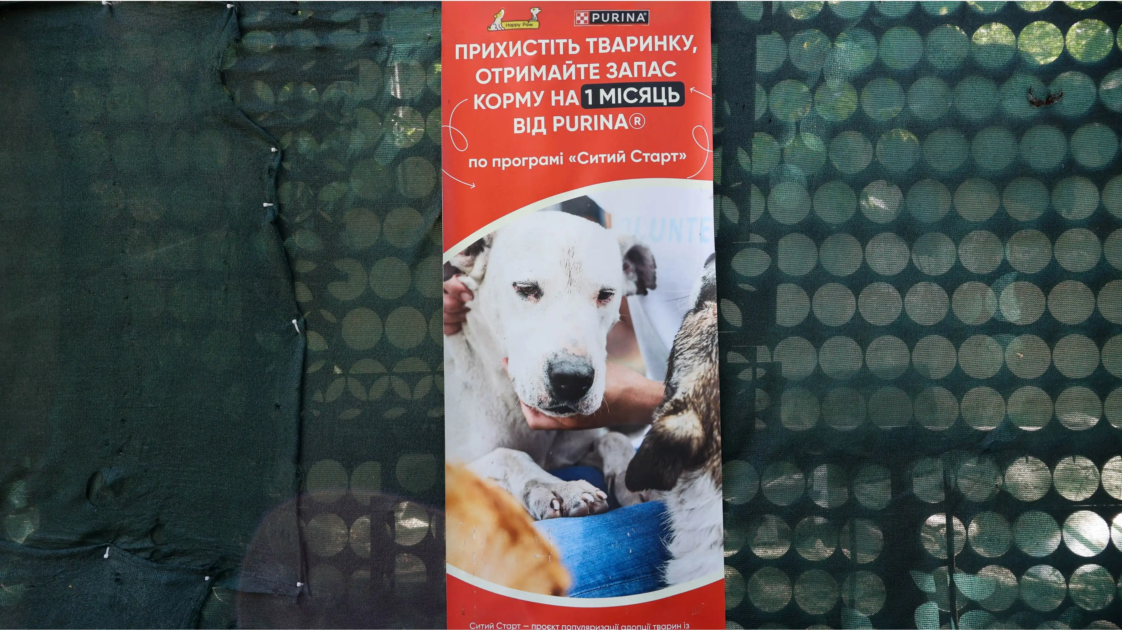 Корм для собак