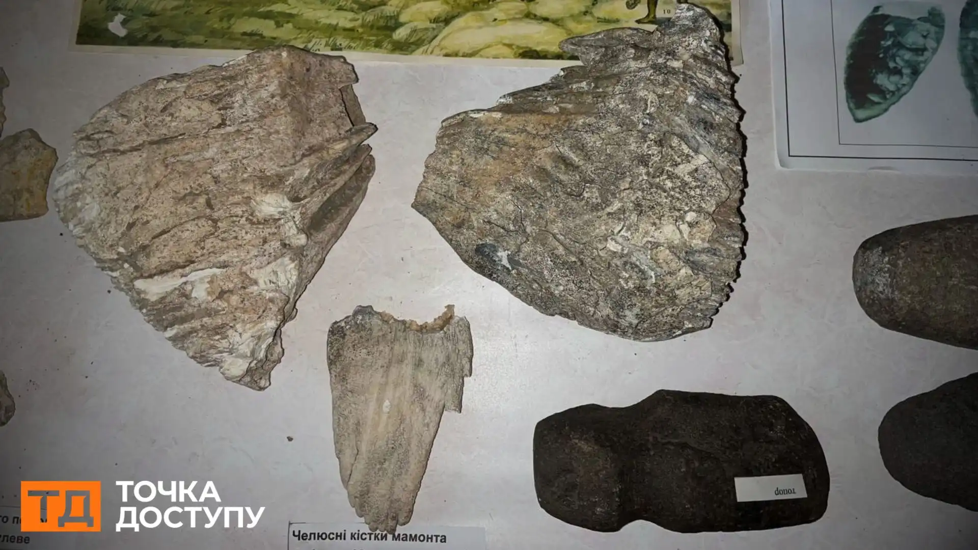 “Ми не закрились, бо це про нас” — інтерв’ю з музейниками та бібліотекарями сіл Кіровоградщини