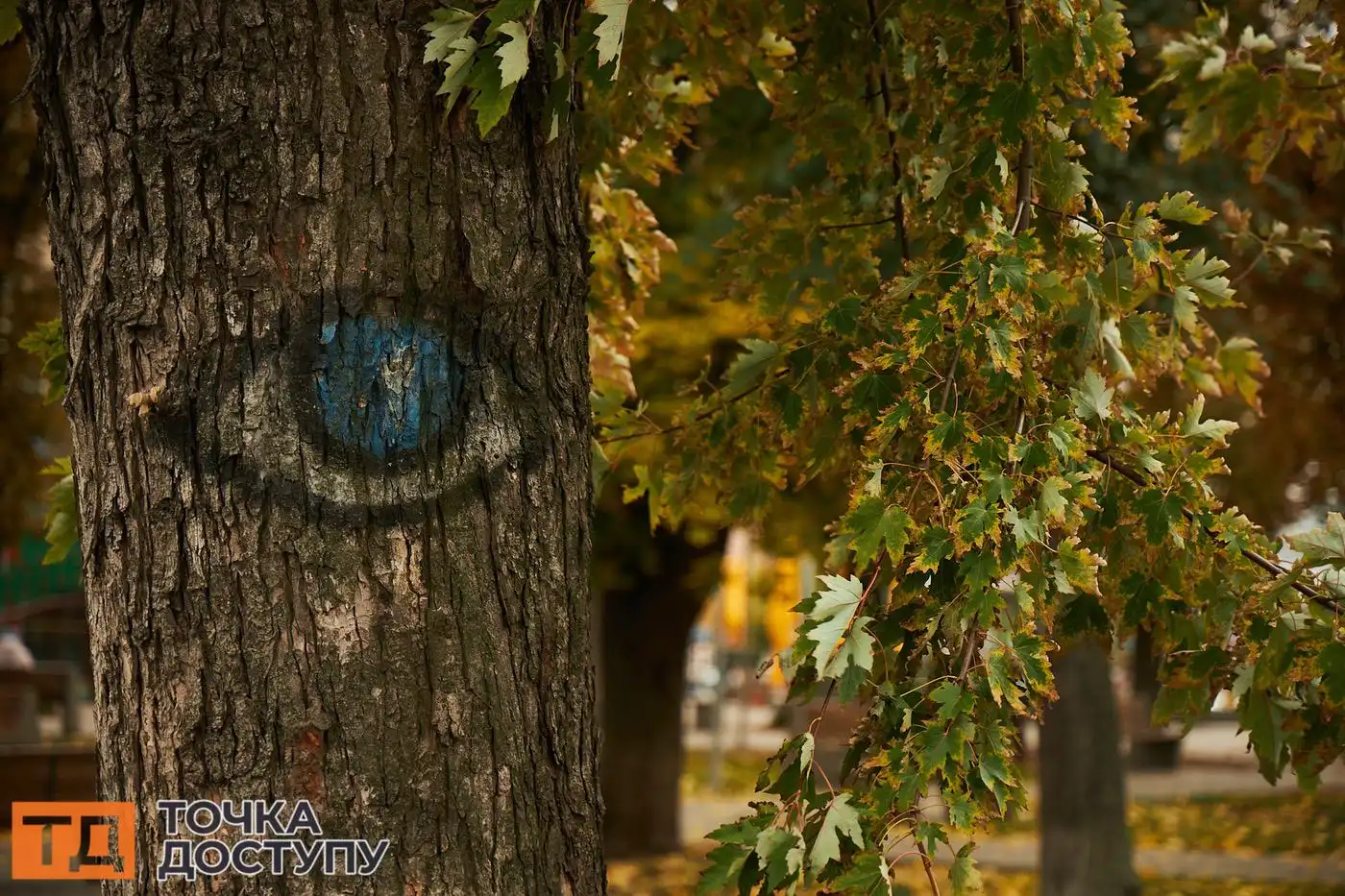 У Кропивницькому восени варто відвідати парк Перемоги та дендропарк, щоб побачити золоті дерева.