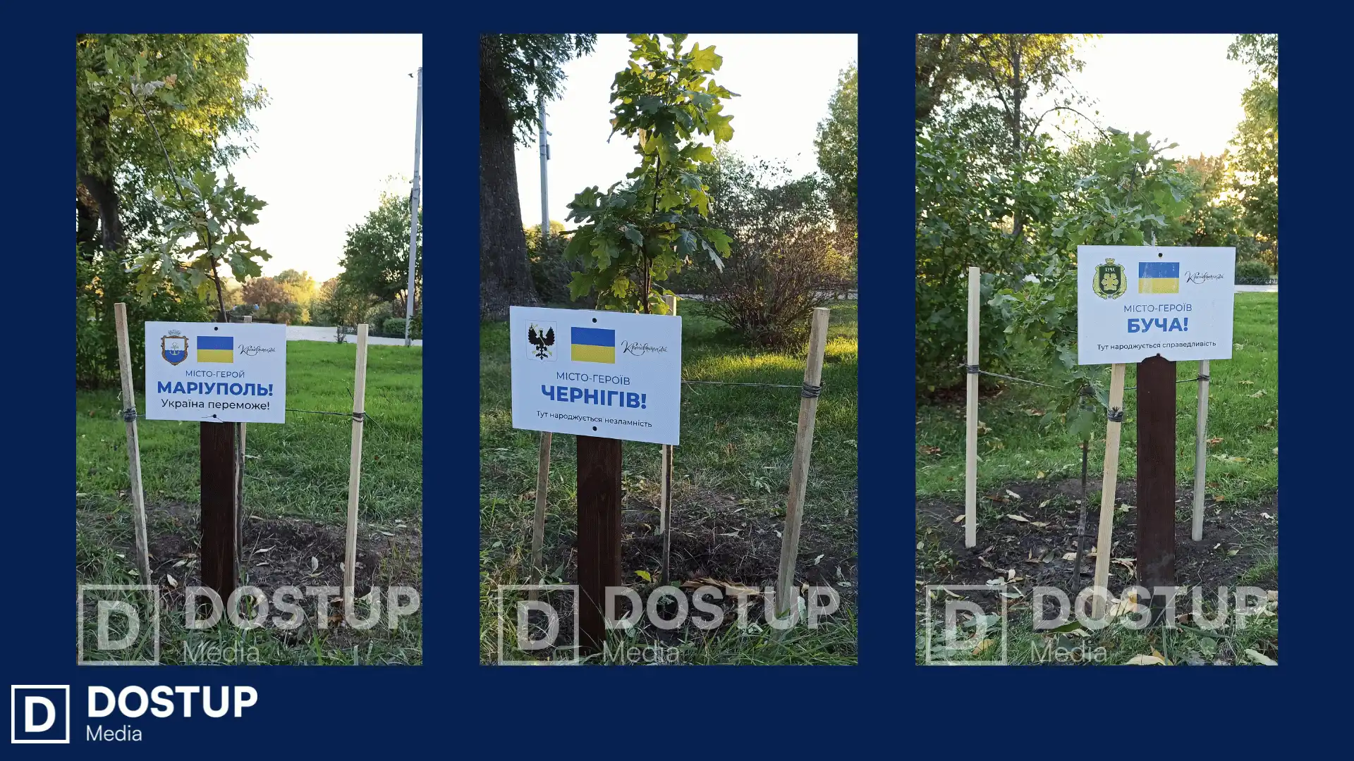 Алея на честь міст-Героїв у парку Перемоги в Кропивницькому