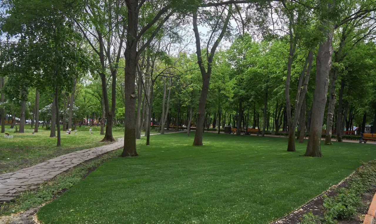 Дендропарк Кропивницький - фото