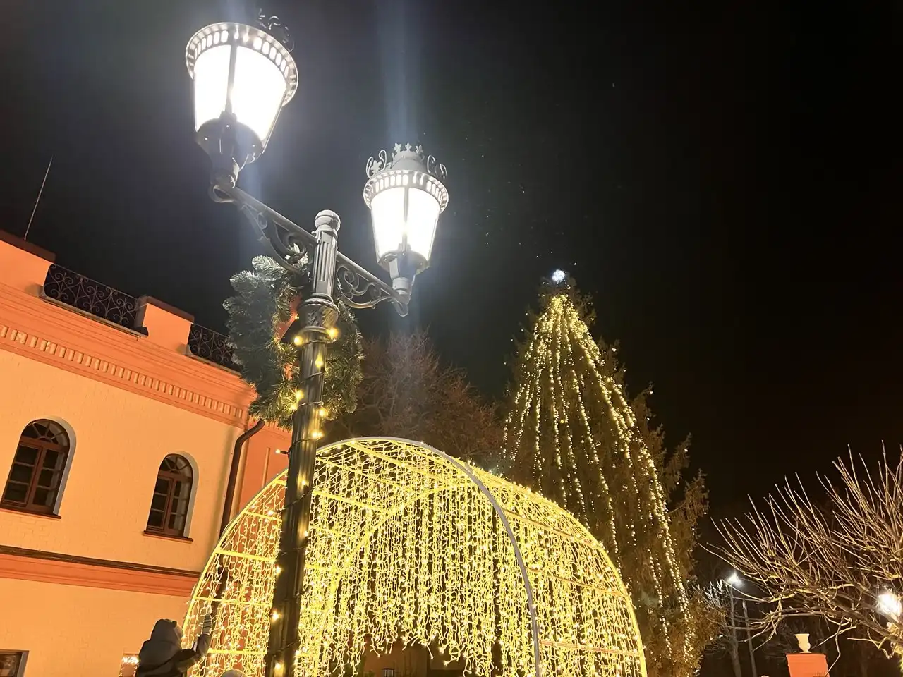 Ялинка в Олександрії 2025