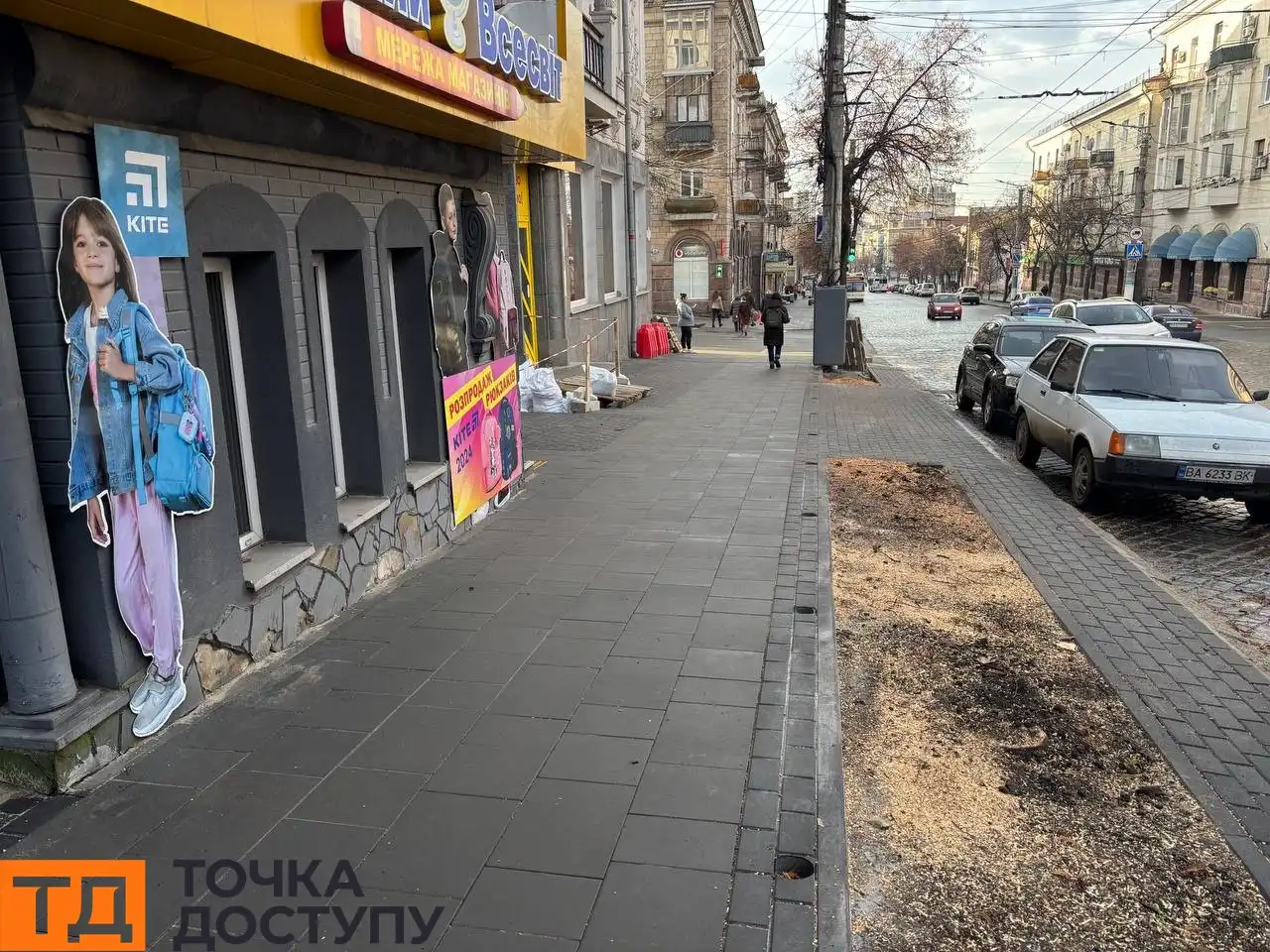 Спиляні дерева