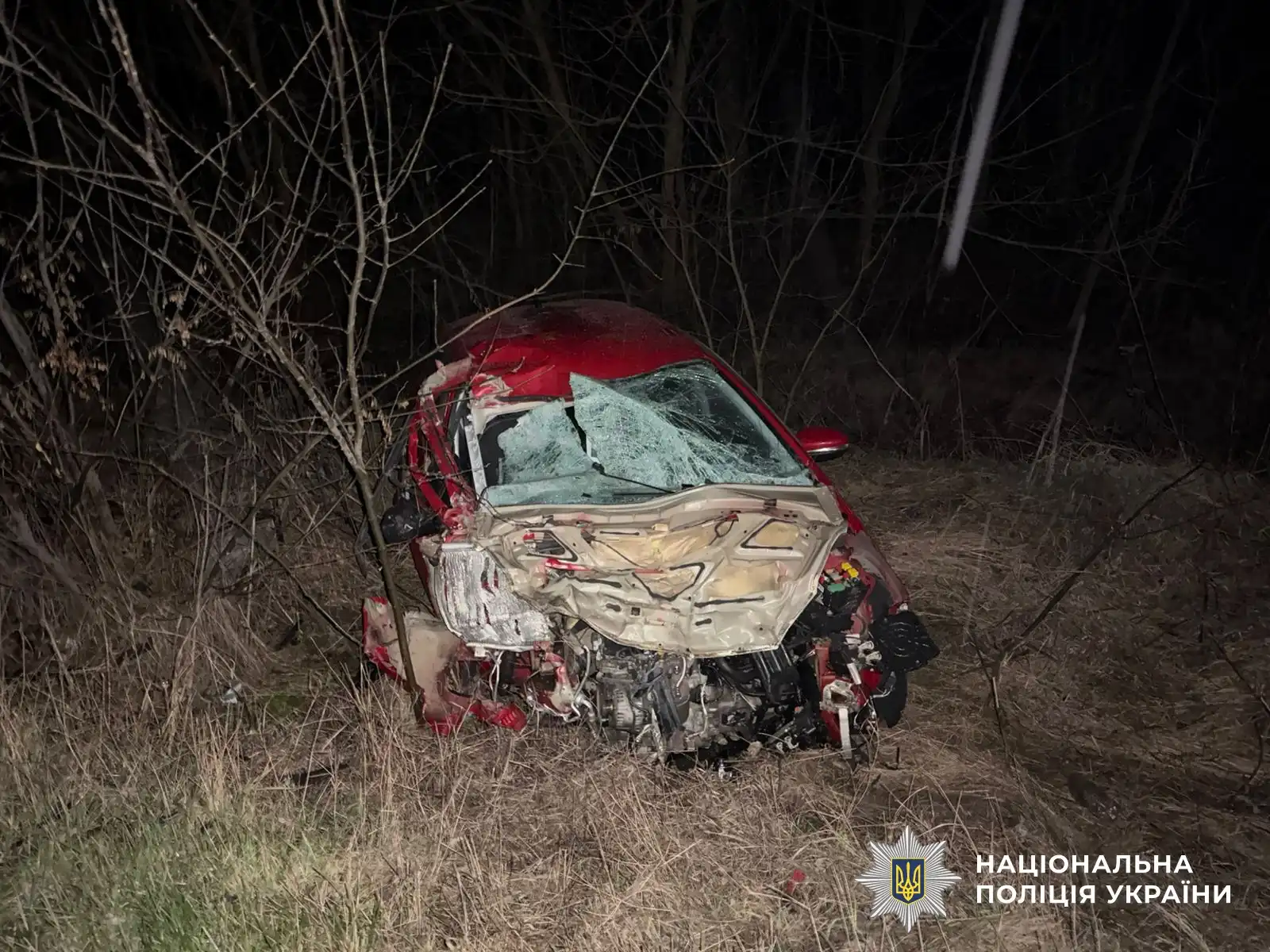 ДТП біля Шостаківки у Кіровоградській області