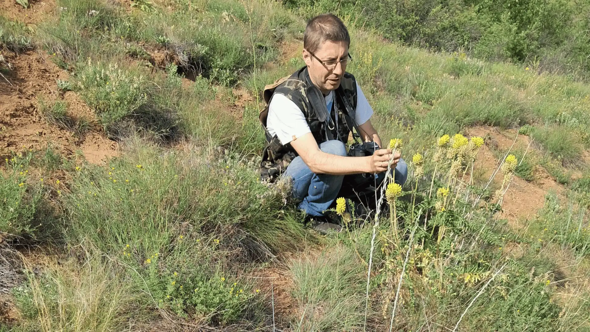 Ботанічна пам'ятка природи "Мала Асканія-Нова" з'явиться у Кіровоградській області