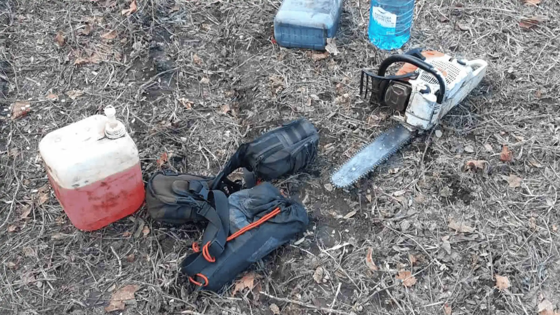 Незаконно спиляли 39 дерев на Кіровоградщині