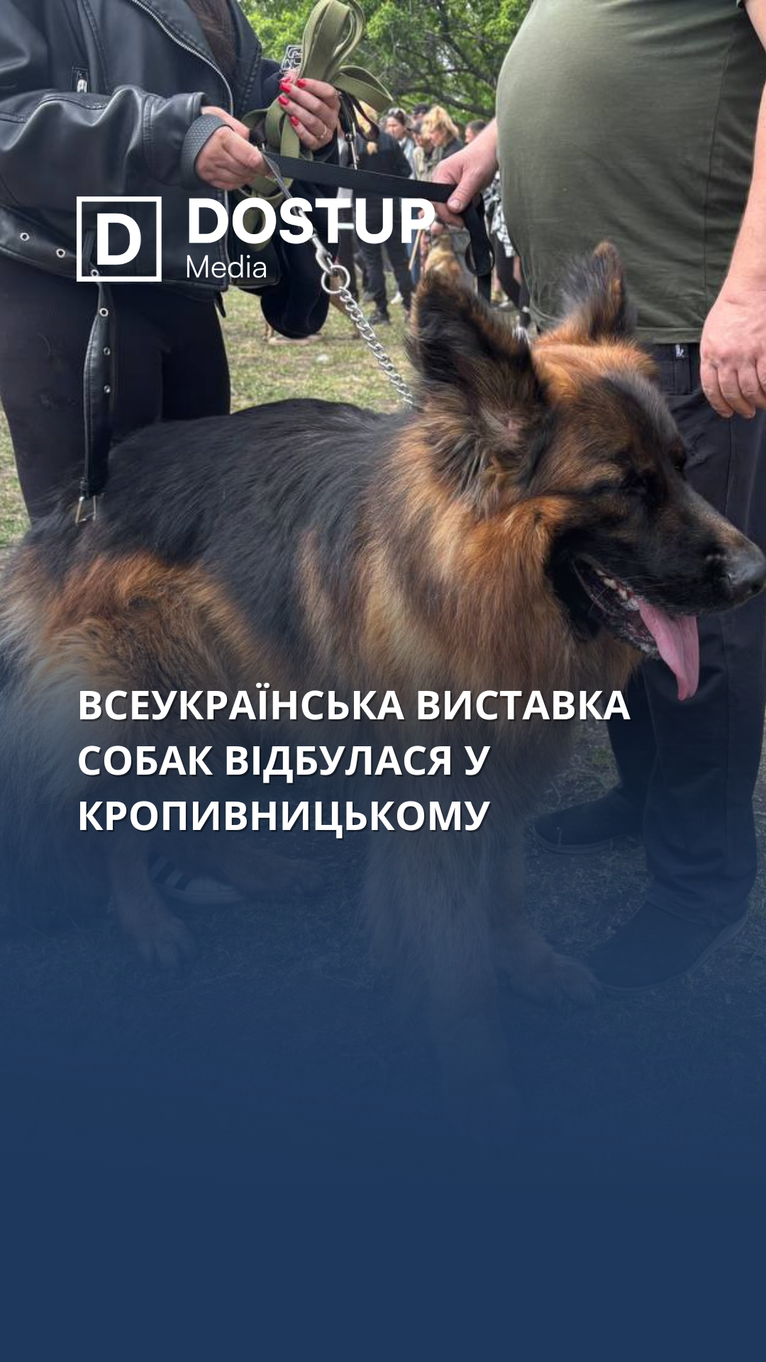 У Кропивницькому відбулася всеукраїнська виставка собак всіх порід