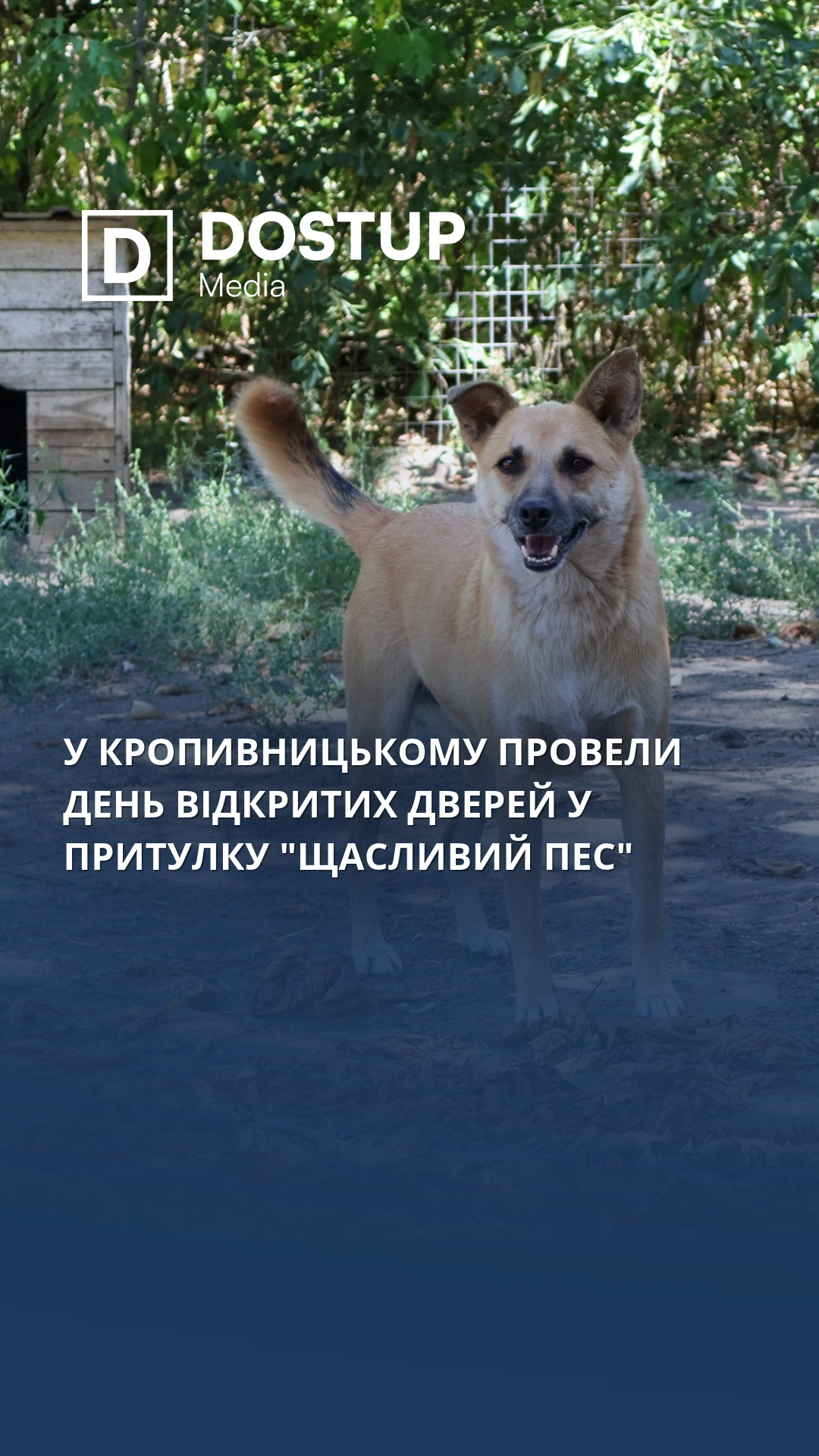 У Кропивницькому провели день відкритих дверей у притулку "Щасливий пес"