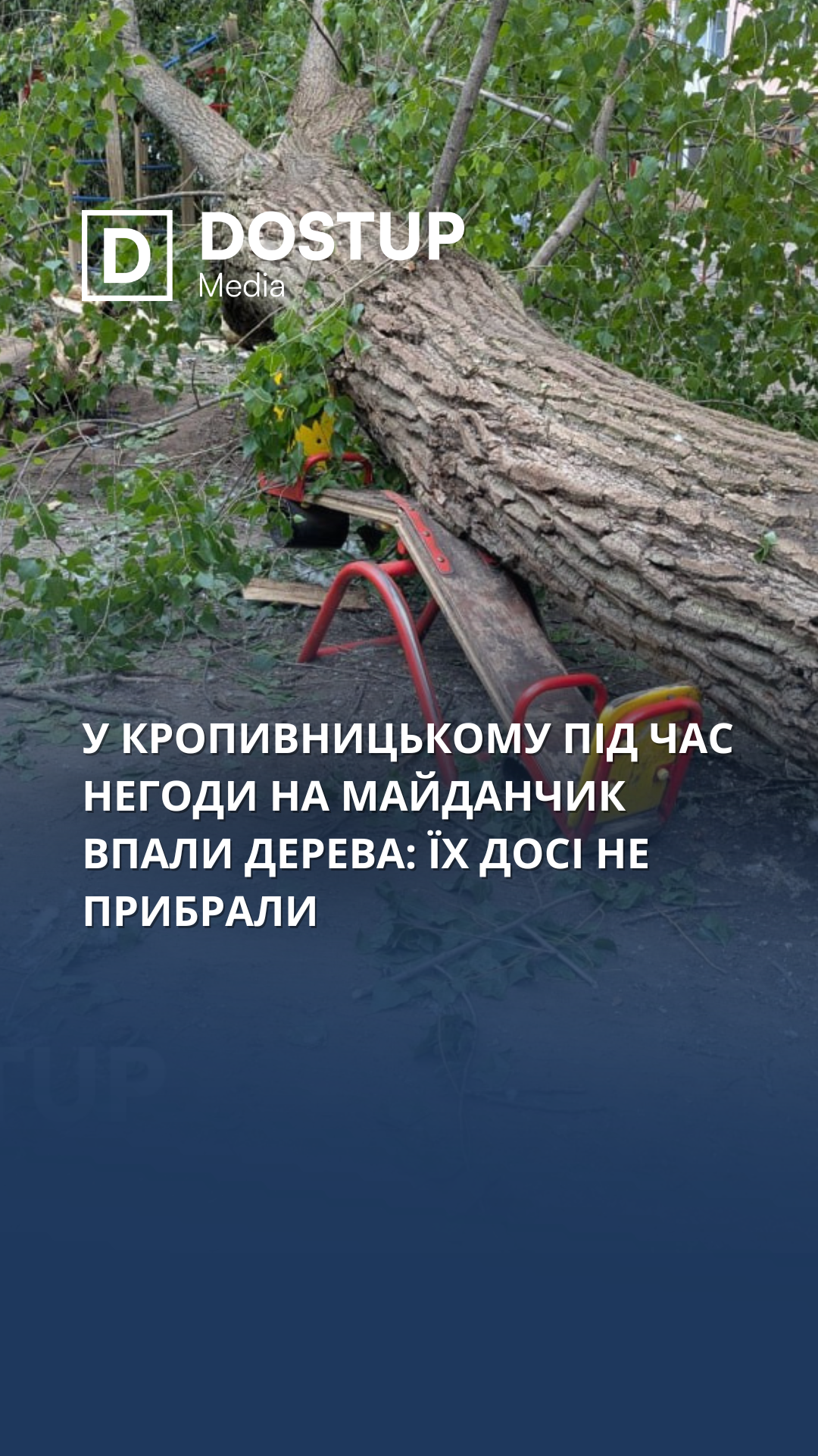 У Кропивницькому під час негоди на майданчик впали дерева: їх досі не прибрали