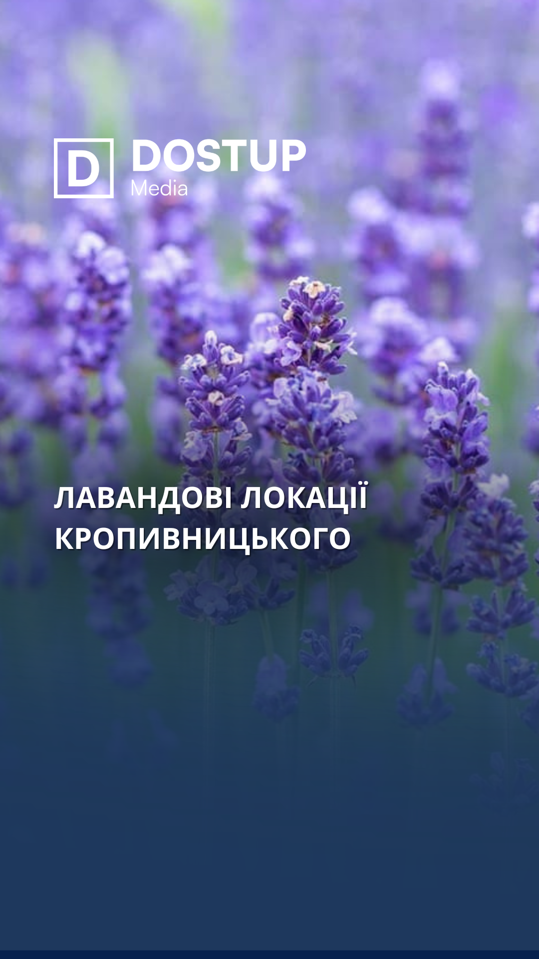 Лавандові локації Кропивницького