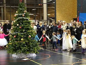 У школах Кропивницького перевірять безпечність новорічних ялинок фото 1