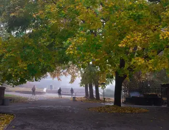 Краса золотої осені на вулицях Кропивницького (ФОТОРЕПОРТАЖ) фото 1