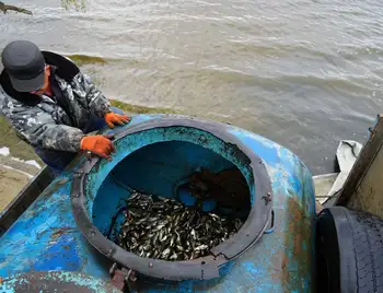 Водосховище на Кіровоградщині зарибнили понад 3 тоннами риб-санітарів (ФОТО) фото 1