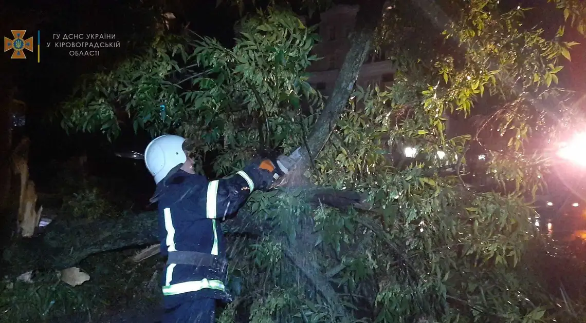 Повалені дерева й затоплені подвір’я: на Кіровоградщині ліквідовують наслідки негоди (ФОТО) фото 1
